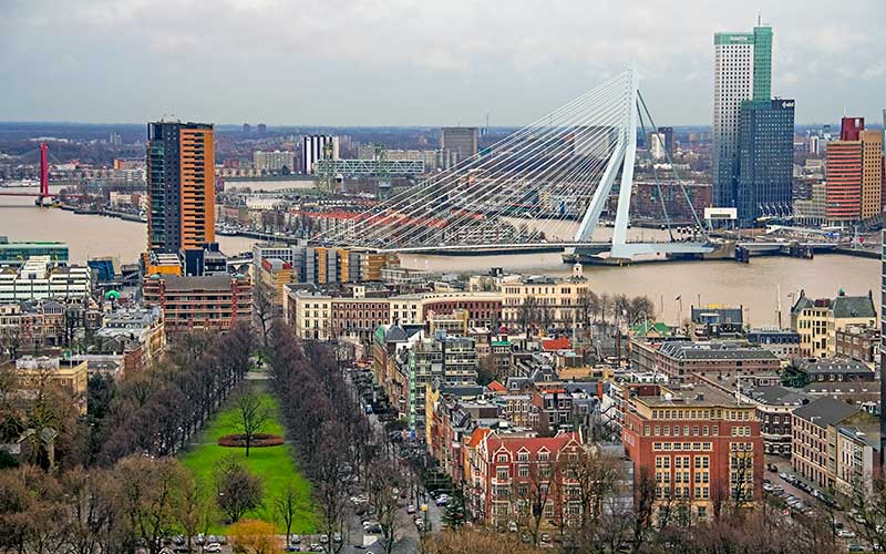 private Tour of Rotterdam